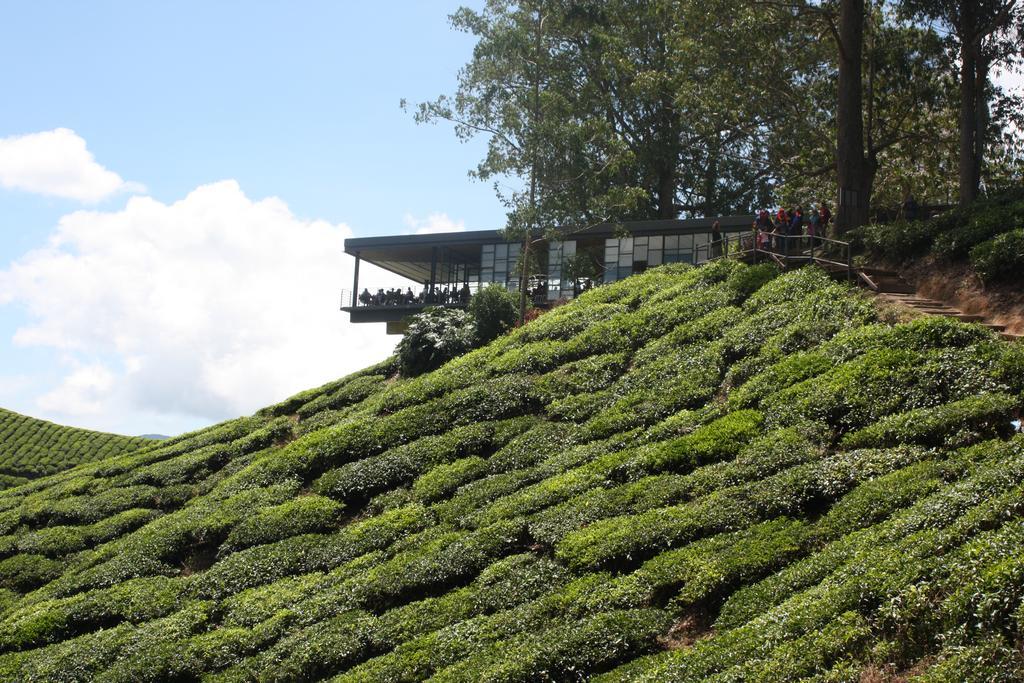 Cameron Strawberry Residence Cameron Highlands Zewnętrze zdjęcie