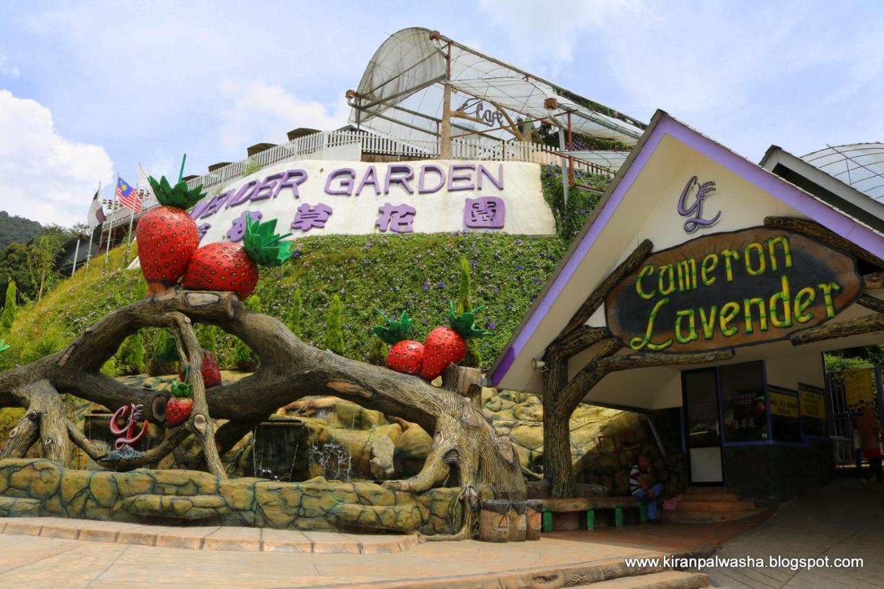 Cameron Strawberry Residence Cameron Highlands Zewnętrze zdjęcie